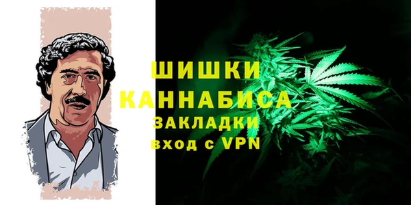 Альфа ПВП Бугульма
