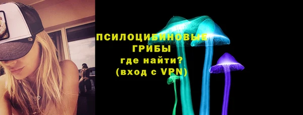 стафф Бронницы