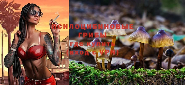 стафф Бронницы