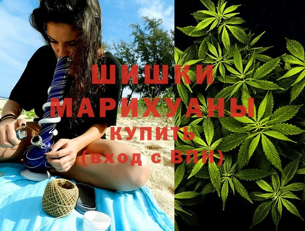 стафф Бронницы