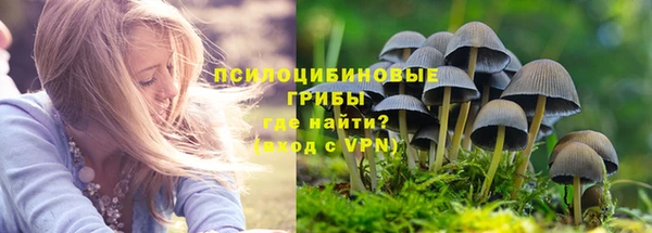 Альфа ПВП Бугульма