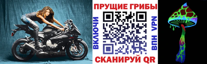Псилоцибиновые грибы GOLDEN TEACHER  KRAKEN сайт  Приволжский  купить закладку 